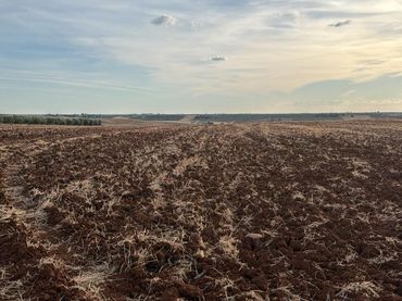 Terreno rustico in vendita a La Carlota