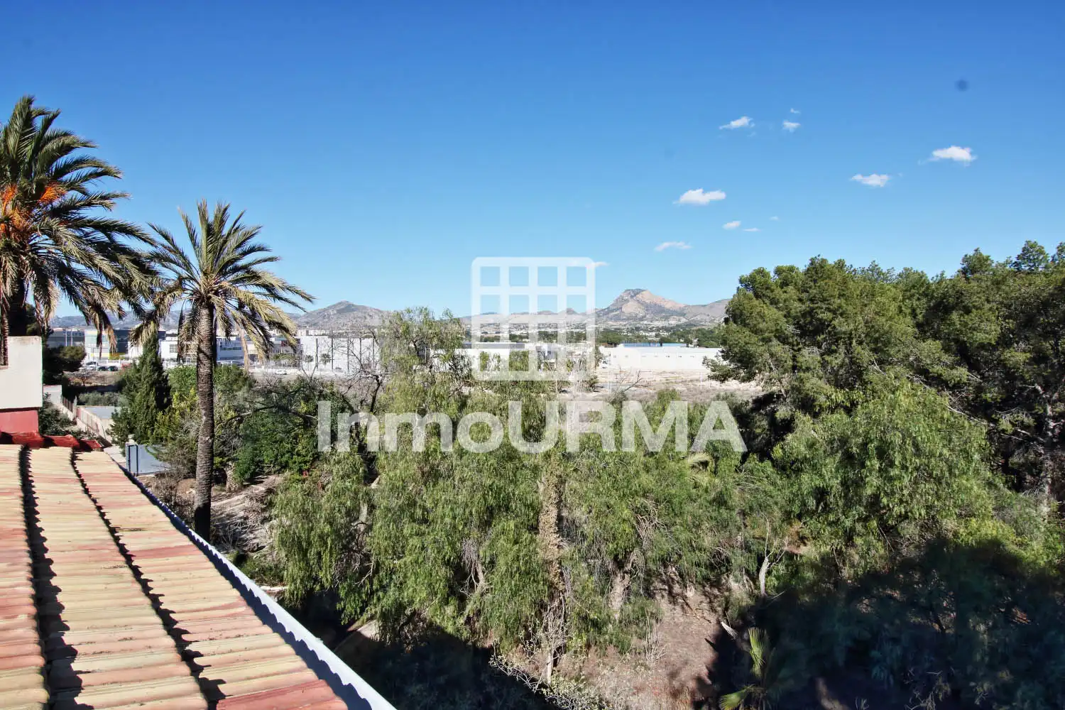 Vista exterior de Casa o xalet en venda en Elda amb Jardí privat
