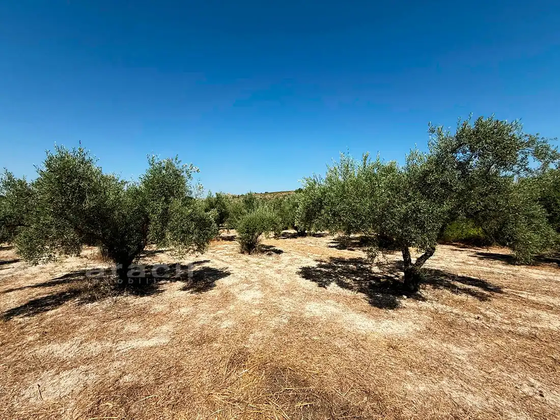 Finca rústica en venta en Bocairent con Piscina