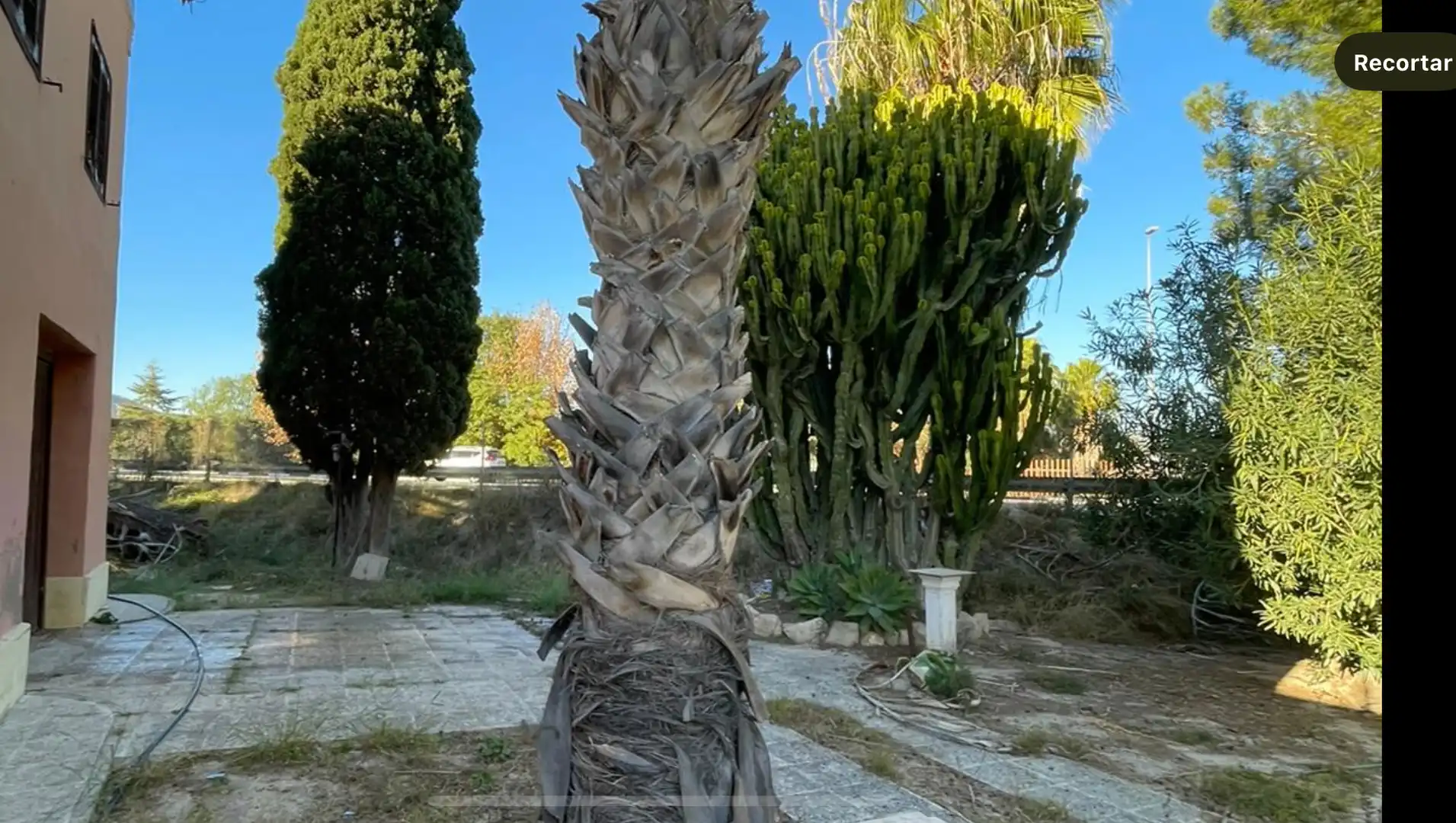 Jardí de Casa o xalet en venda en Orihuela amb Aire condicionat, Jardí privat i Moblat
