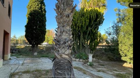 Foto 4 de Casa o xalet en venda a Calle Virgen de Monserrate, Orihuela ciudad, Alicante