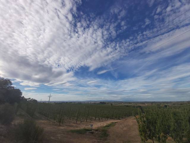 Terreno en Venta en N/A en Puigverd de Lleida