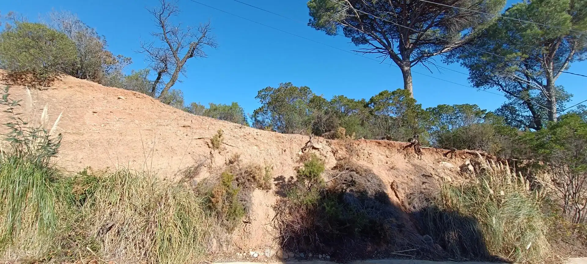 Terreno residencial en venta en Riells i Viabrea, imagen 6