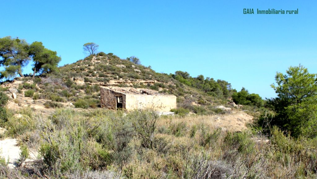 Exterior view of Country house for sale in Batea