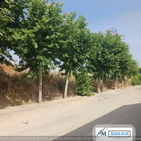 Residencial en venta en Chozas de Canales
