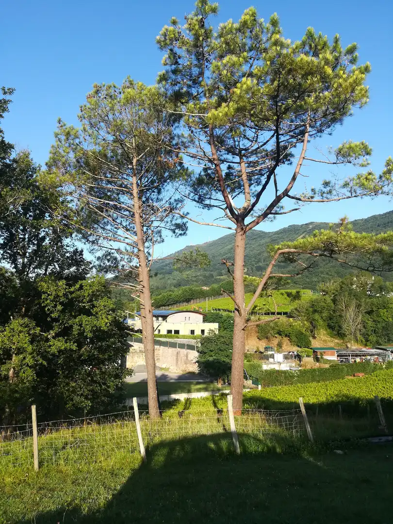 Terreno en venta en Jaitzubia Auzoa, 69, Hondarribia