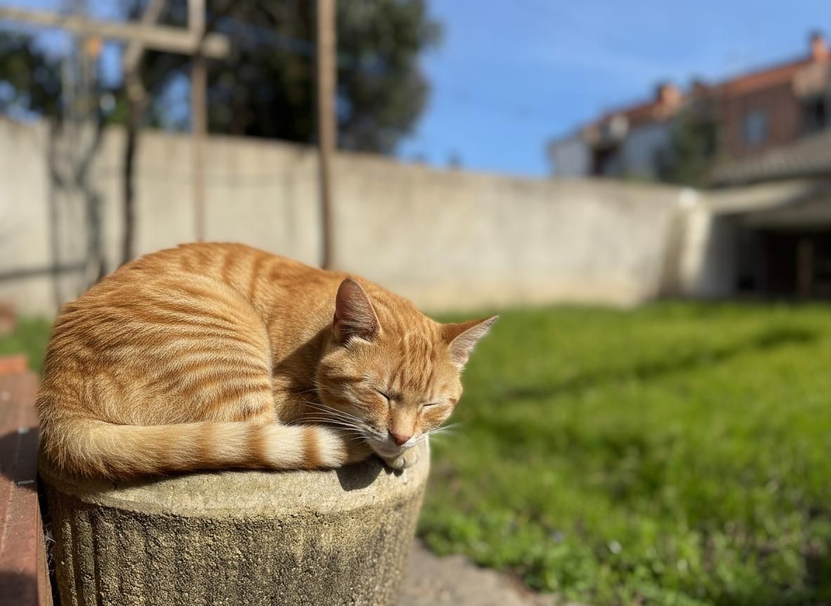 Casa o xalet en venda