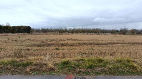 Photo 3 of Residential for sale in Alberite - Camino Carragoncillo, Alberite, La Rioja