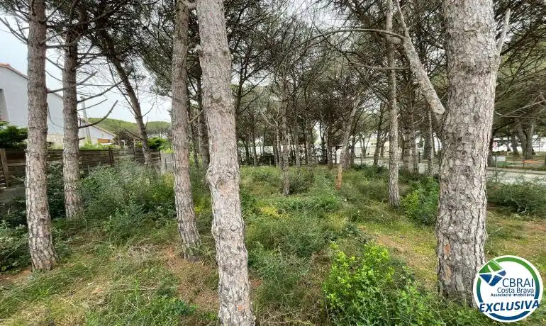 Terrenys i solars en venda a Nord, imagen 19