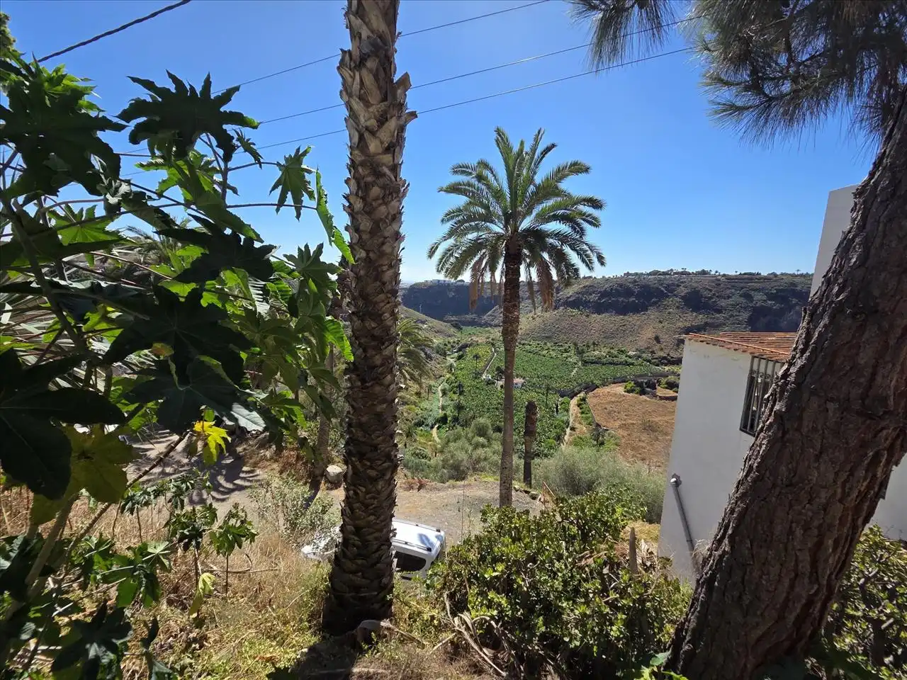 Exterior view of Flat for sale in Las Palmas de Gran Canaria