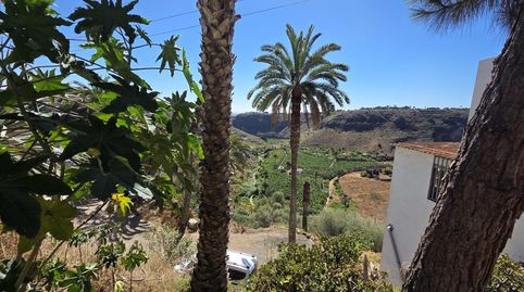 Foto 4 de Pis en venda a Cl el Palmeral, Tafira, Las Palmas de Gran Canaria