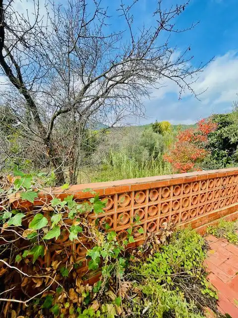 Jardí de Finca rústica en venda en Torrelles de Foix