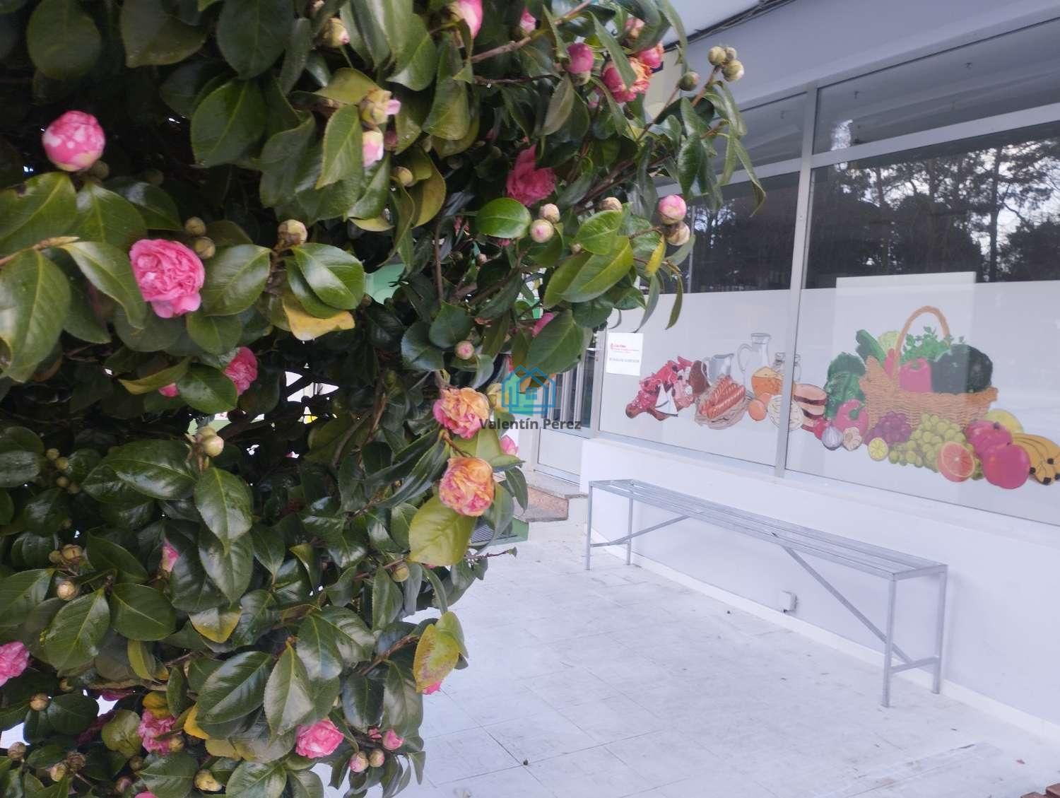 Jardí de Local en venda en Cabanas