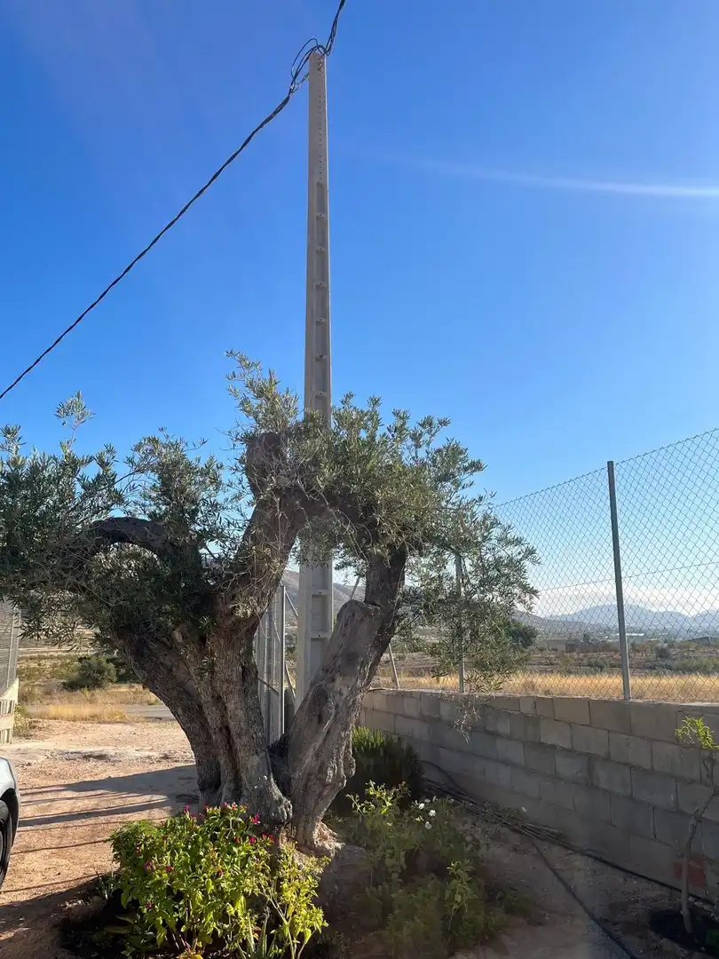 Vista exterior de Casa o xalet en venda en Orihuela amb Jardí privat, Terrassa i Traster