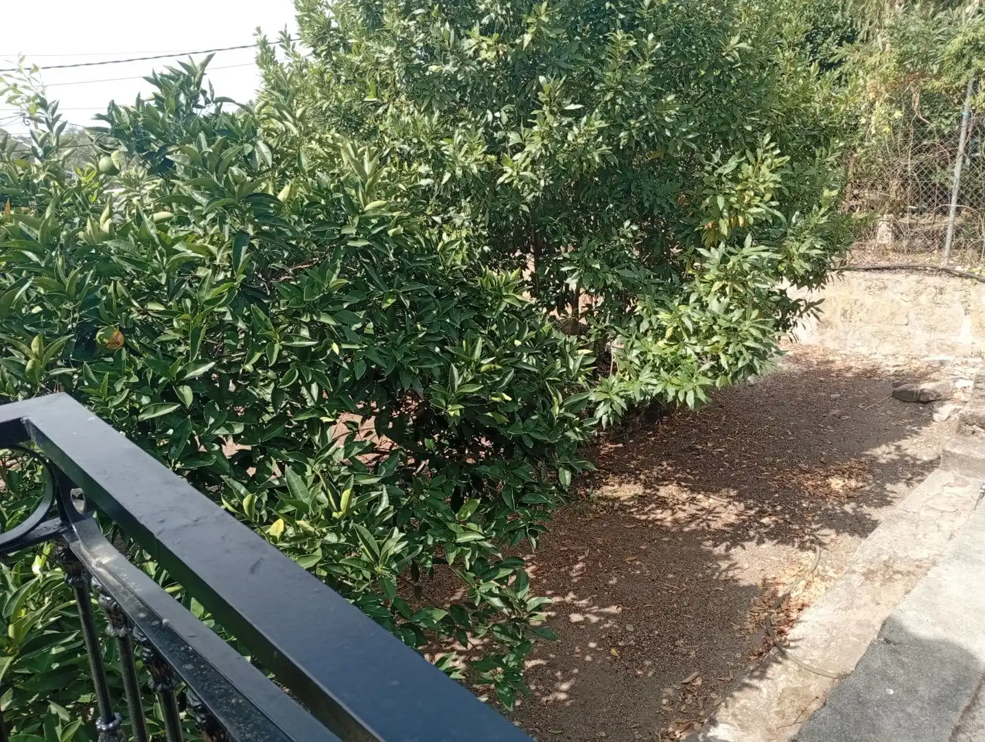 Haus mit Garten zum Verkauf in Villanueva de la Vera, imagen 37