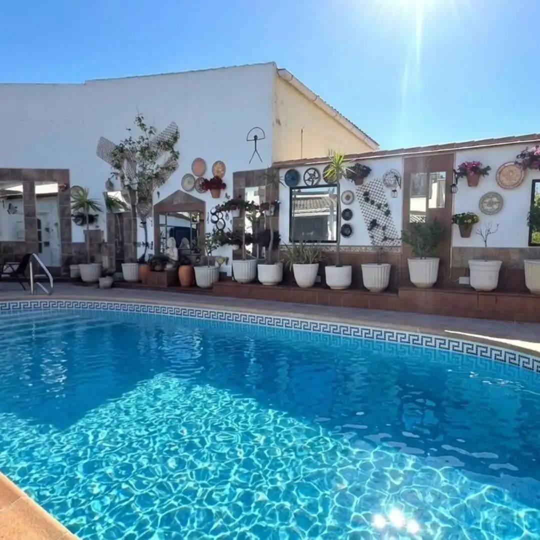 Piscina de Casa o xalet en venda en Antas amb Aire condicionat, Terrassa i Traster