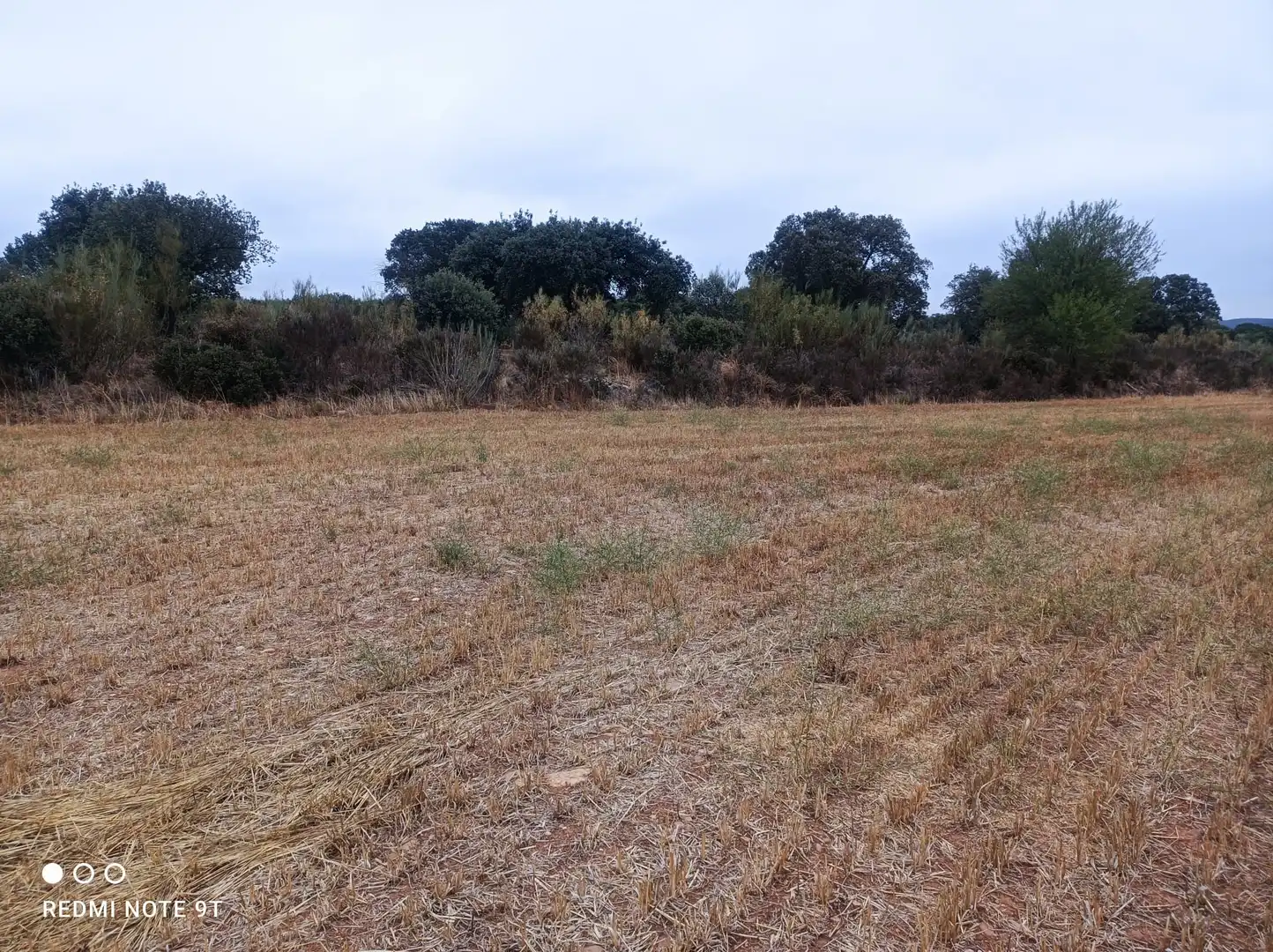 Terreno rústico en venta en Ronda de Serradilla 10, imagen 8