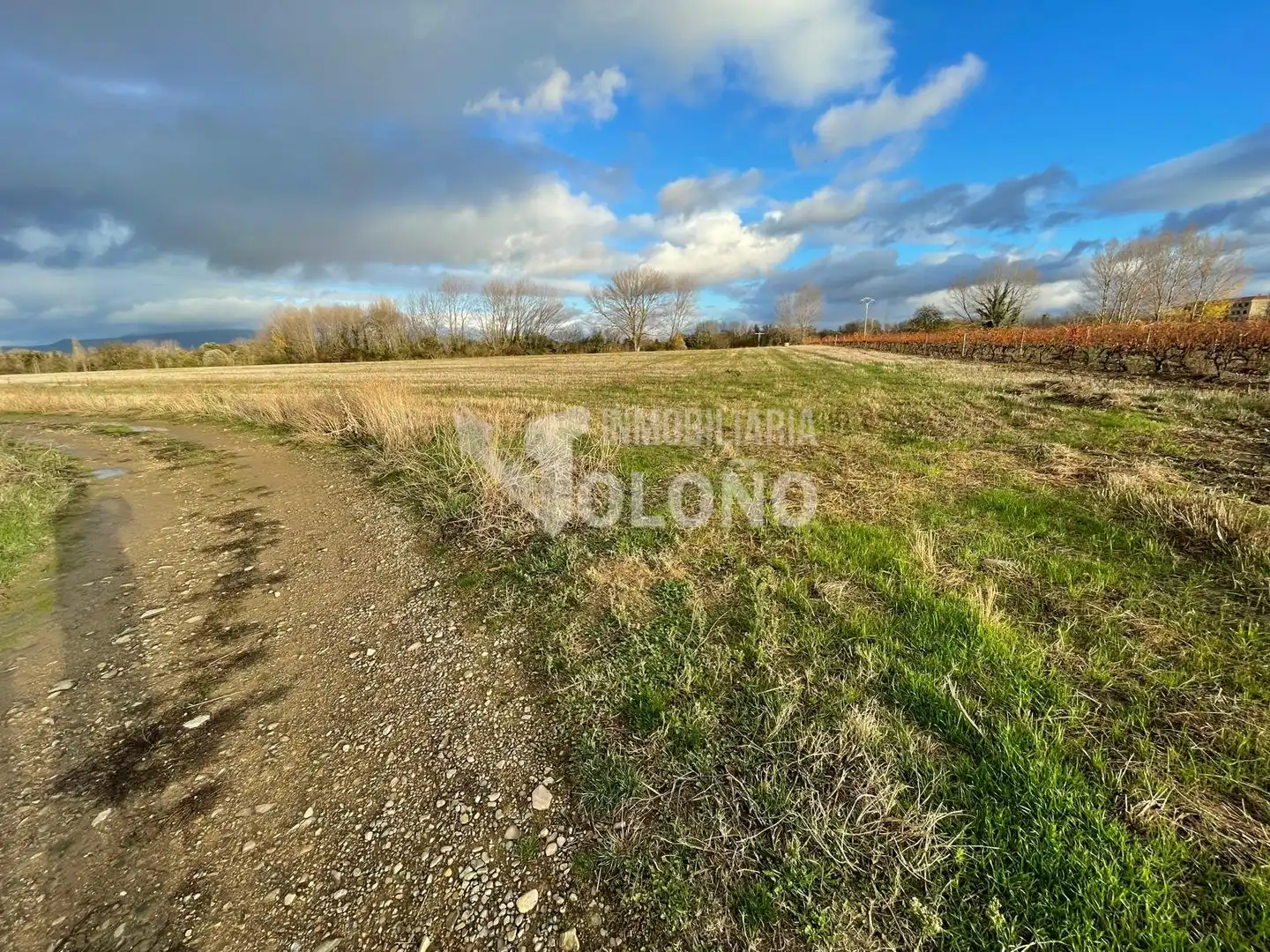 Lands and plots for sale in Casalarreina, imagen 6