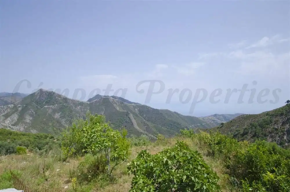 Casa en venta en Cómpeta, imagen 3