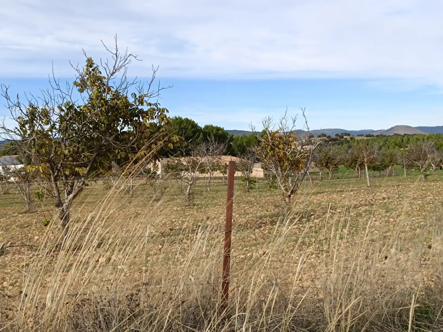 Terreno rustico in vendita a N/A, imagen 12