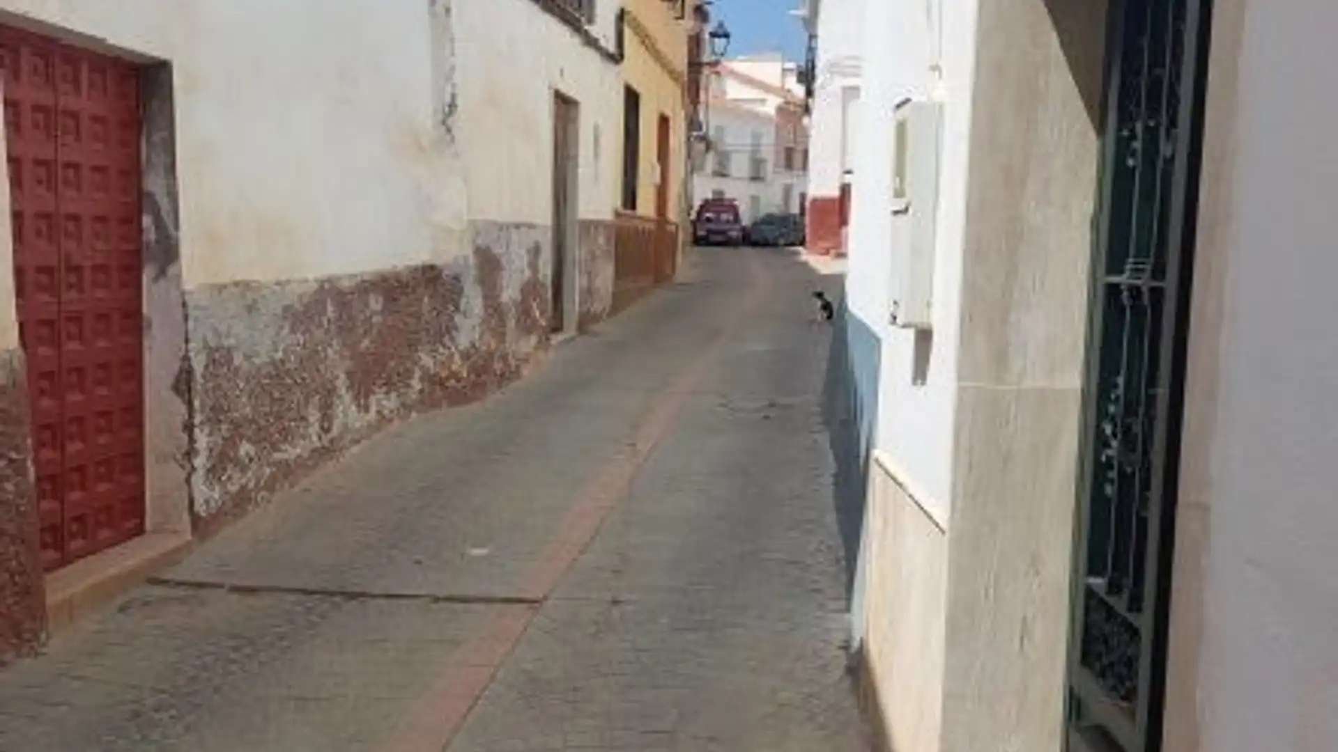 Casa adosada en venta en C/ Real, Vélez de Benaudalla