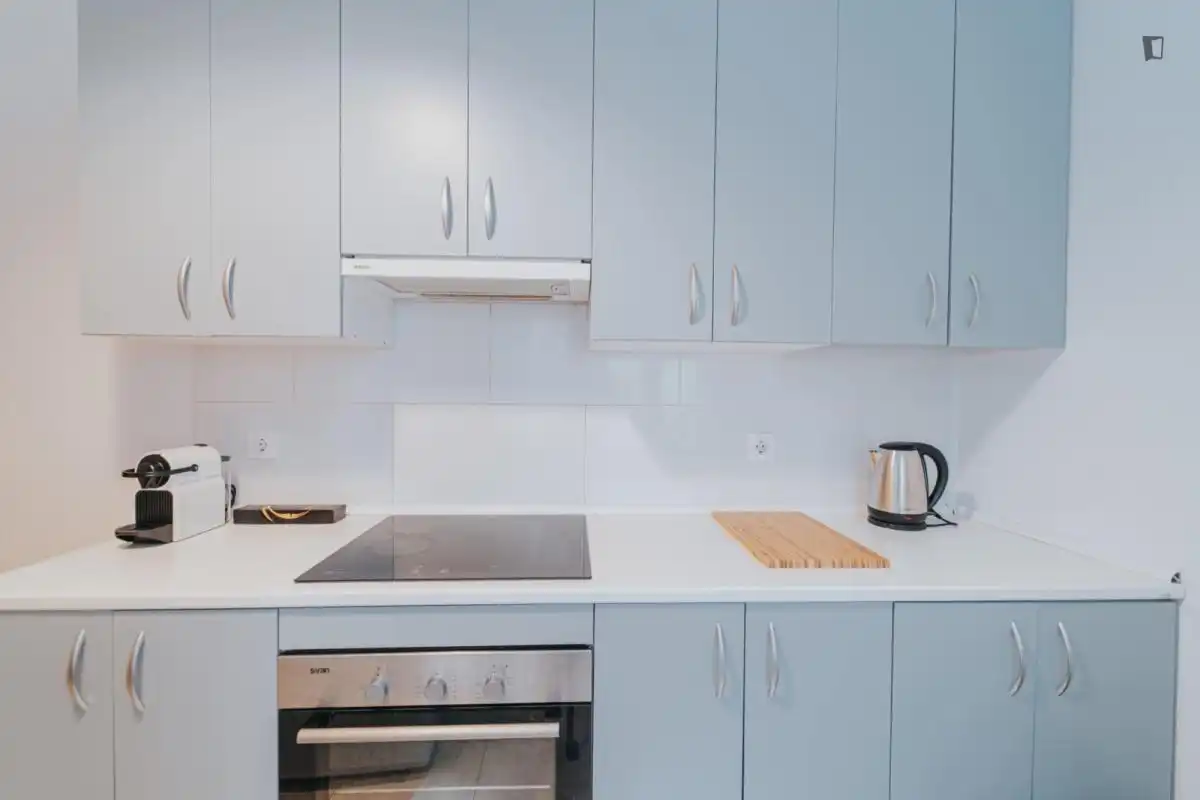 Kitchen of Apartments for share in Madrid  with Furnished, Oven and Washing machine