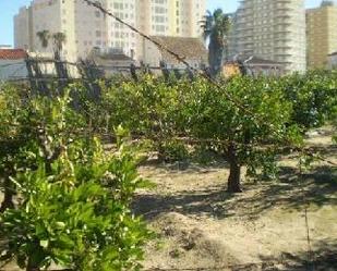 Land for sale in Sueca