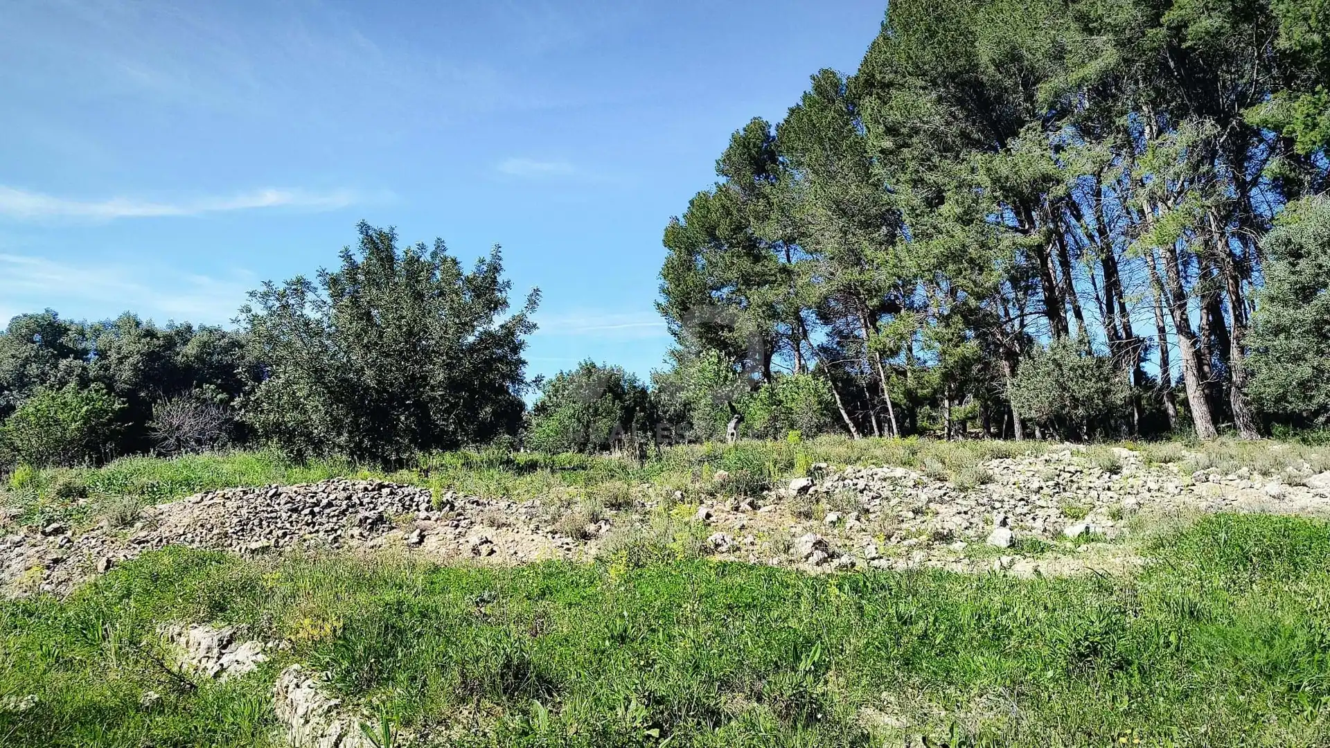Residential for sale in Murla