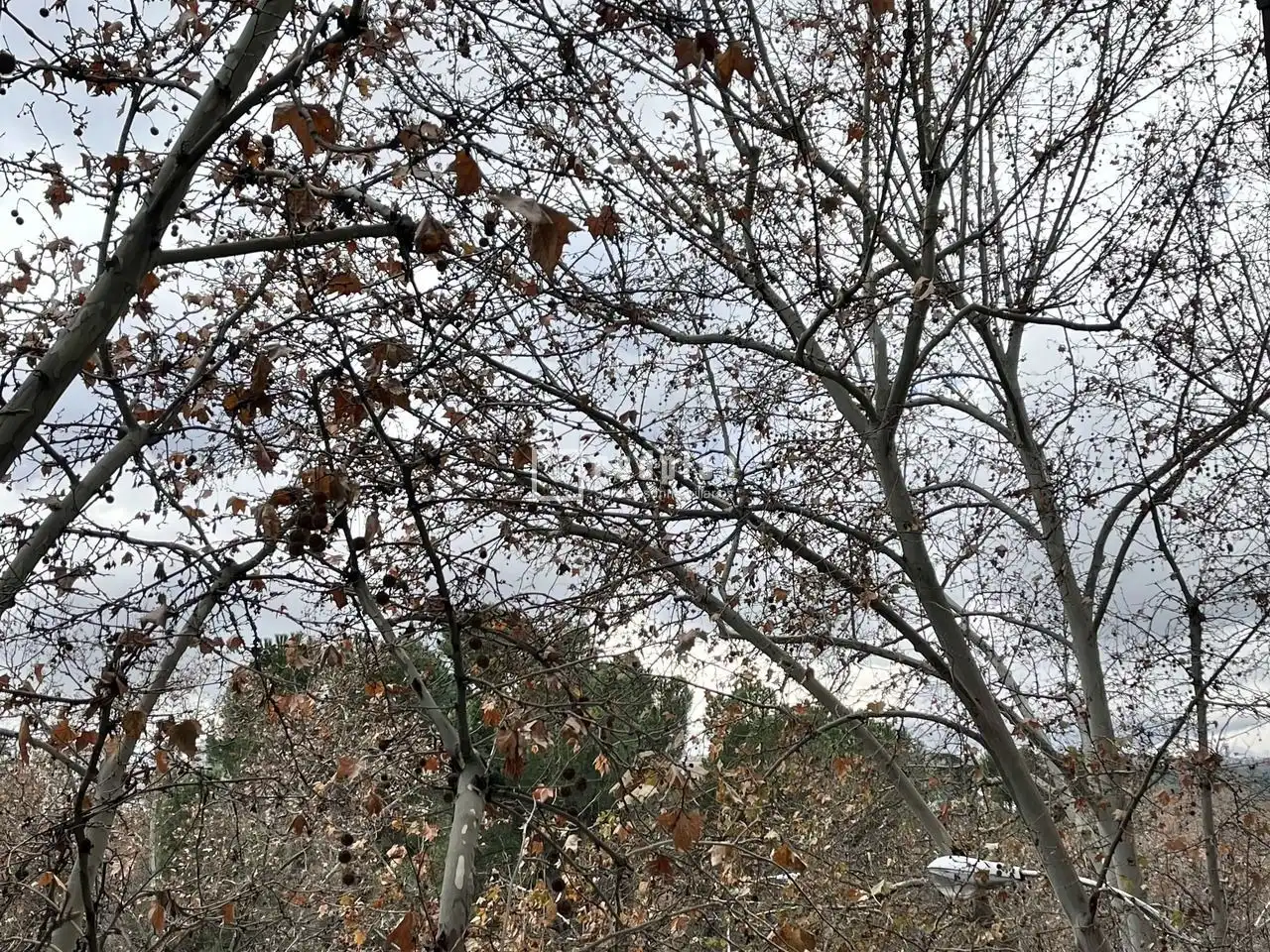 Wohnung zur Miete in Madrid mit Klimaanlage, Heizung und Terrasse