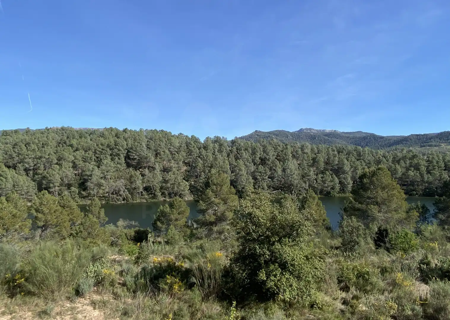 Residential land for sale in Els Guiamets, imagen 20
