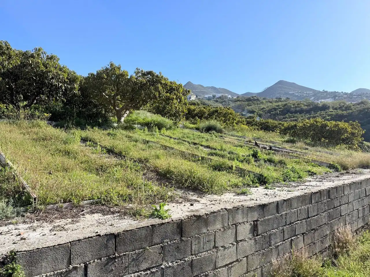 Land for sale in Canillas de Albaida