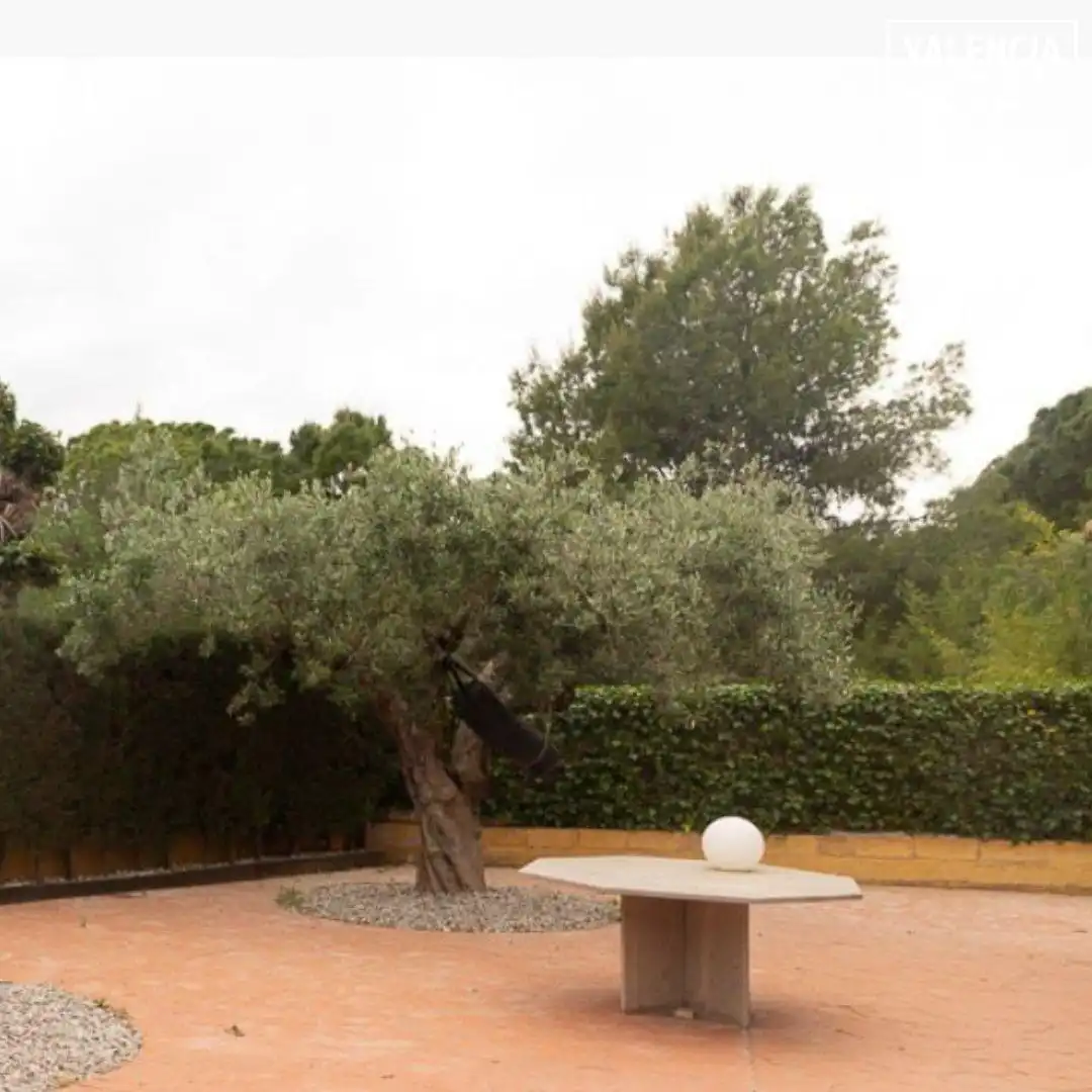 Jardín de Casa o chalet en venta en Náquera