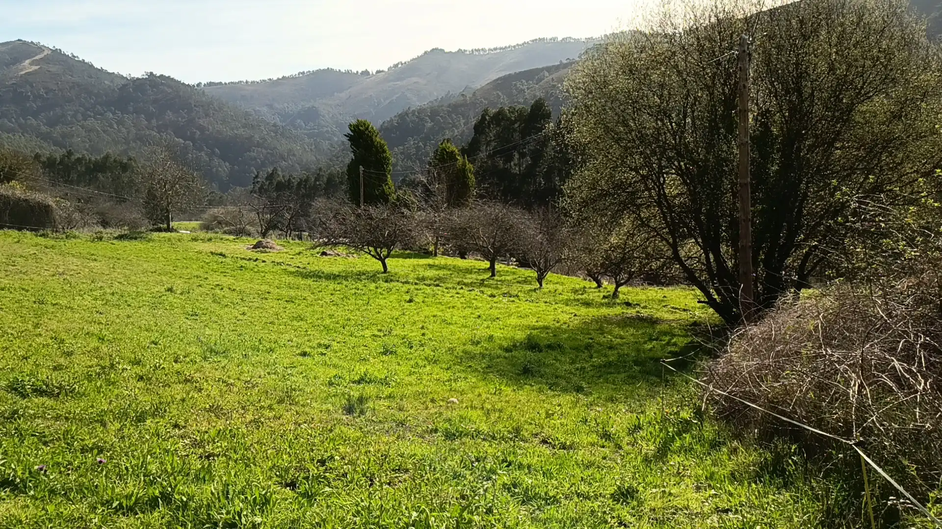Grundstücke und Bauplätze zum Verkauf in La Peral