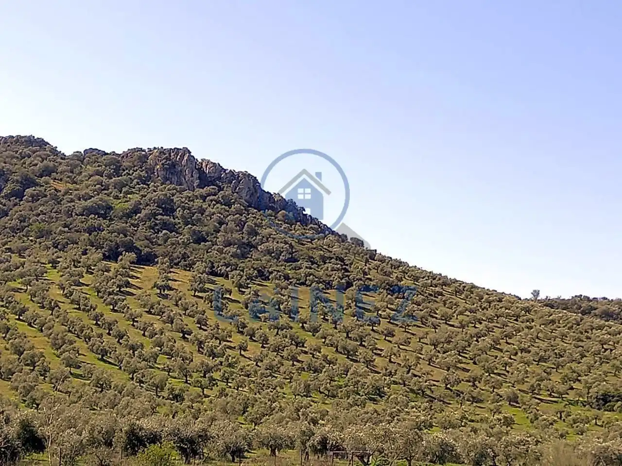 Terreny residencial en venda a Belmez, imagen 11