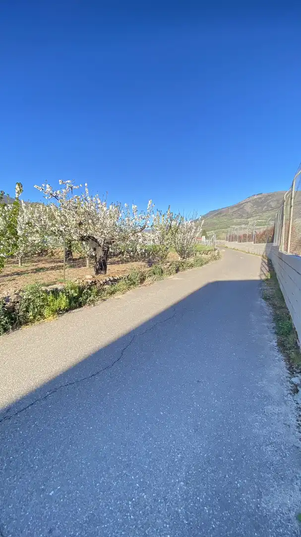 Vista exterior de Nave industrial en venta en Jerte con Alarma