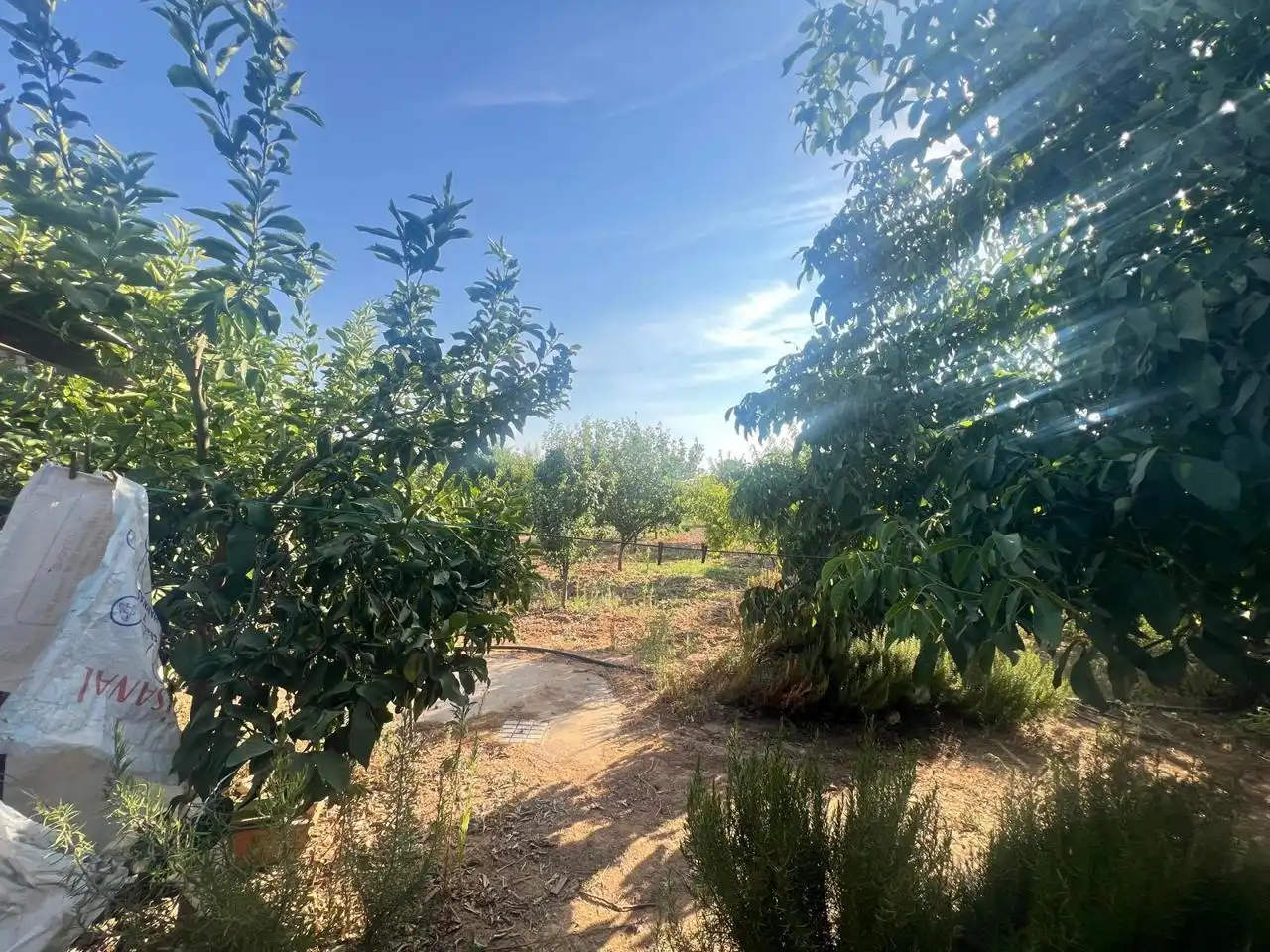 Residencial en venta en Almendralejo