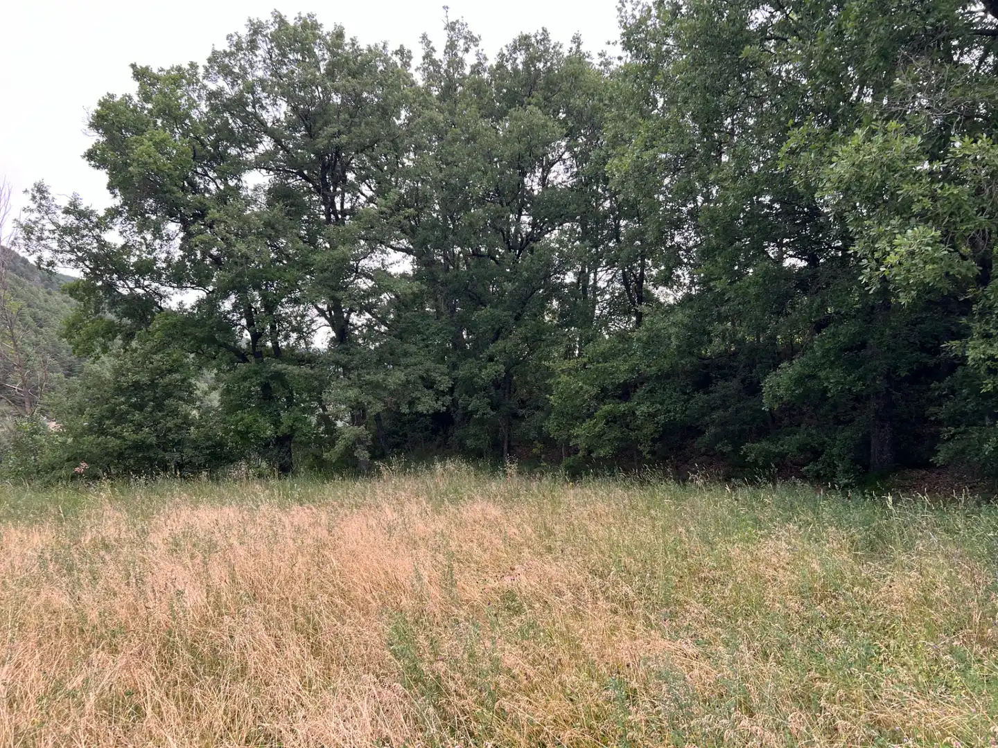 Terreni e lotti in vendita a Jasa, imagen 9