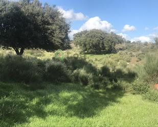 Finca rústica en venda en San Vicente de Alcántara