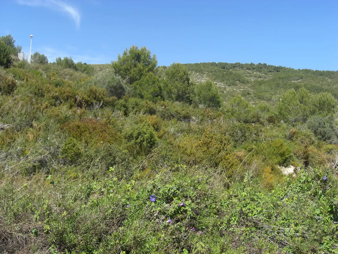 Terreny residencial en venda a Les Fonts - Els Molins
