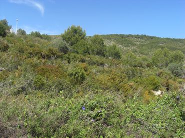 Terreny residencial en venda a Les Fonts - Els Molins