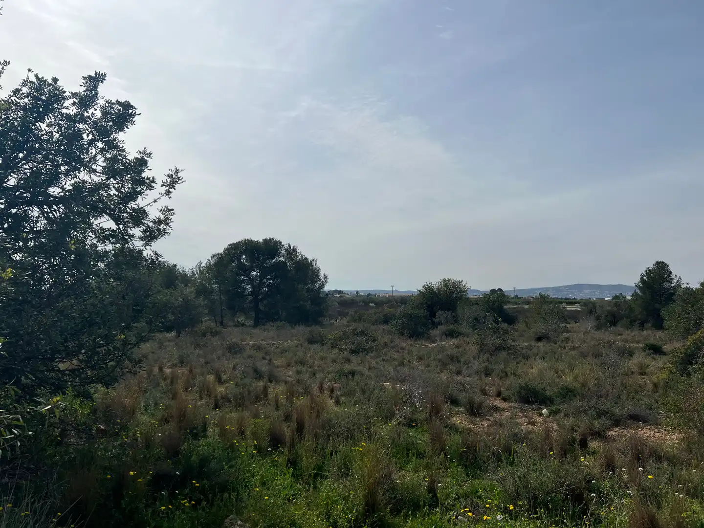 Terreno rústico en venta en Polígono del Aeropuerto