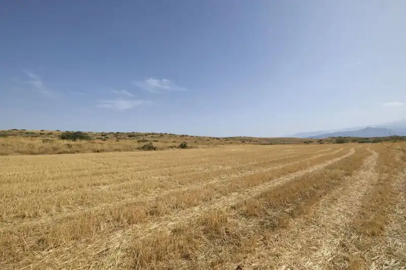 Terreni e lotti in vendita a Padul, imagen 14