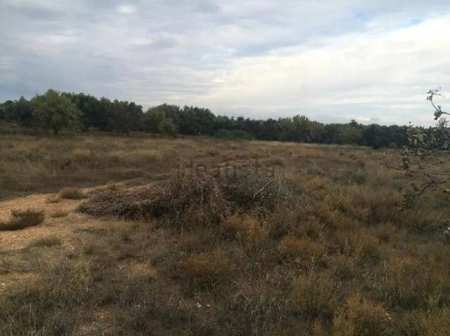 Terreno en Venta en Belchite
