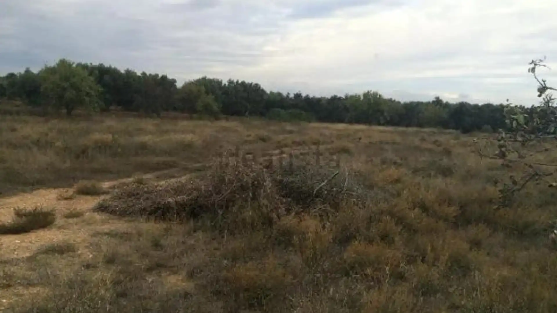 Terreno en venta en Belchite