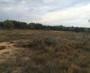 Land for sale in Belchite