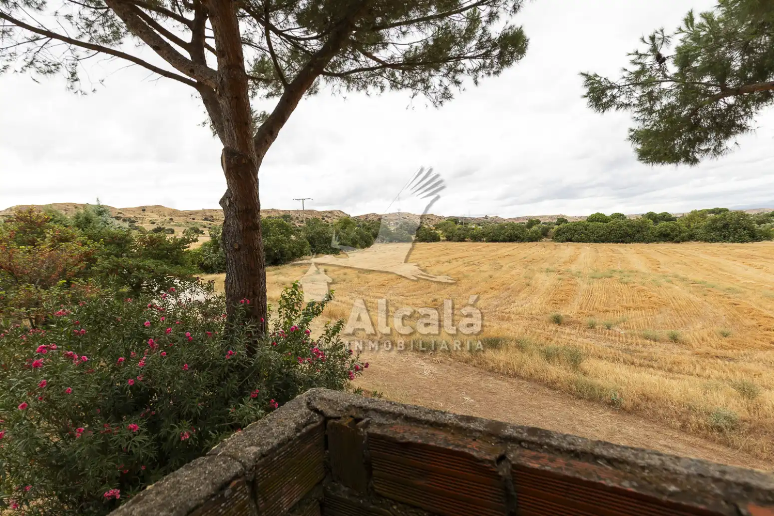 Haus oder Chalet zum Verkauf in El Molar (Madrid) mit Schwimmbad