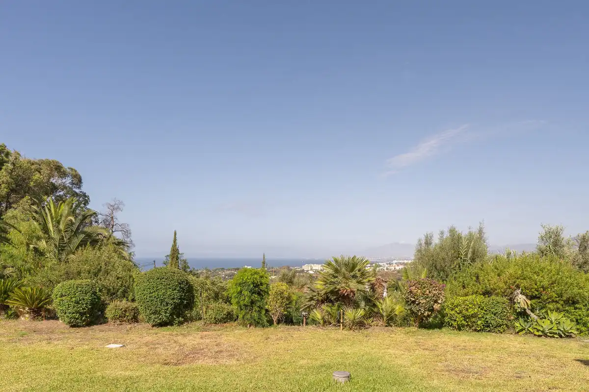 Jardín de Casa o chalet en venta en Marbella con Piscina