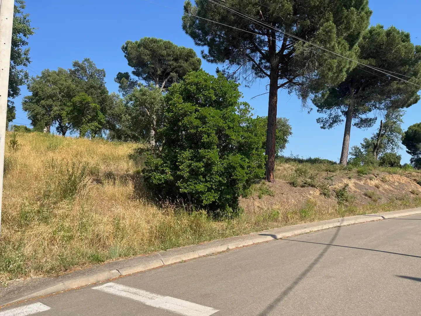Terrain résidentiel à vendre à Carrer d'Urgell 11, imagen 6