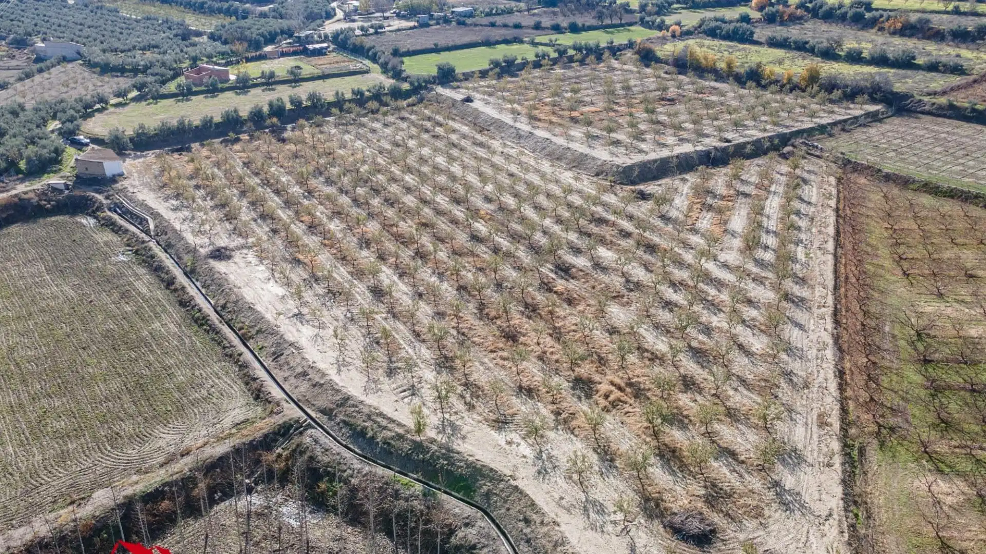 Land for sale in Guadix