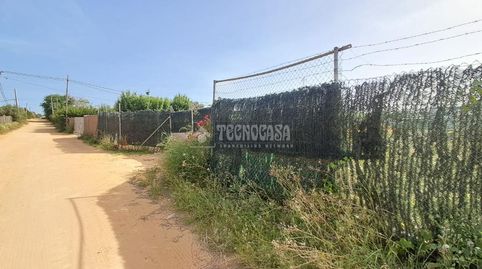 Foto 2 de Finca rústica en venta en Carmona, Sevilla